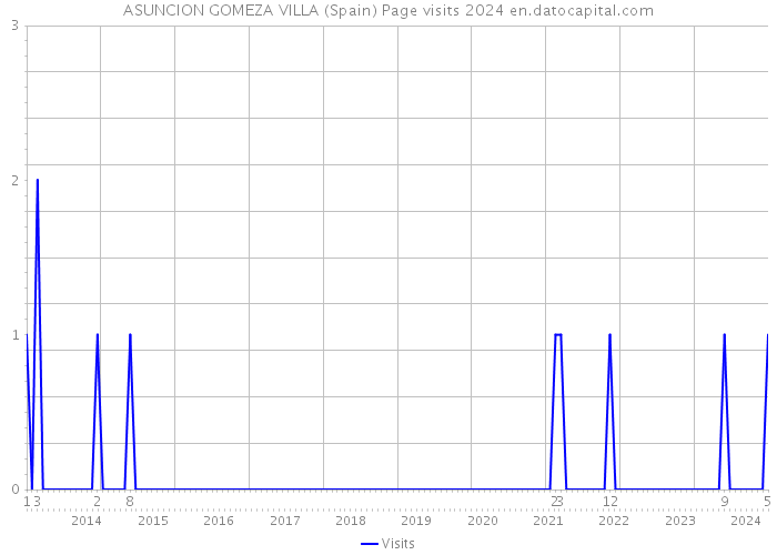 ASUNCION GOMEZA VILLA (Spain) Page visits 2024 