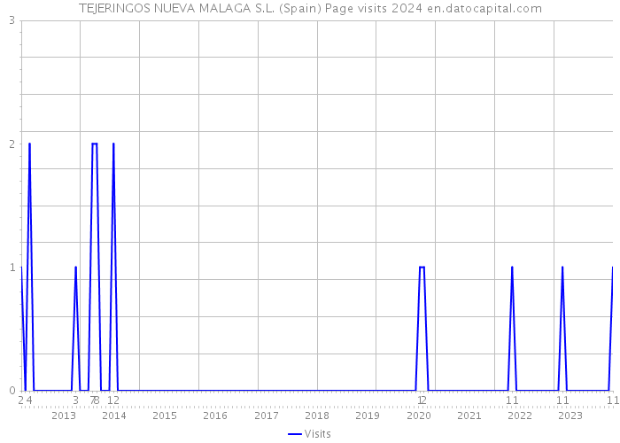 TEJERINGOS NUEVA MALAGA S.L. (Spain) Page visits 2024 