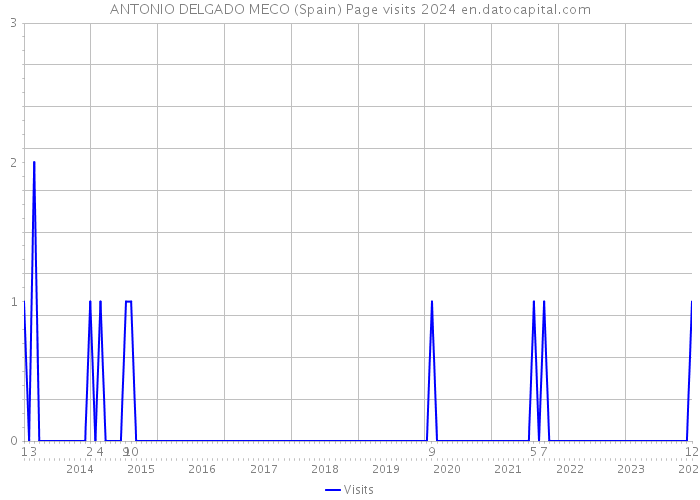 ANTONIO DELGADO MECO (Spain) Page visits 2024 