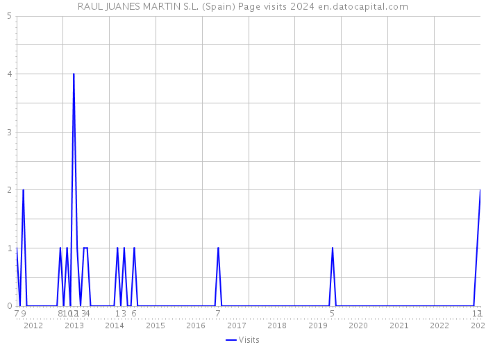 RAUL JUANES MARTIN S.L. (Spain) Page visits 2024 