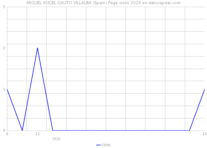 MIGUEL ANGEL GAUTO VILLALBA (Spain) Page visits 2024 