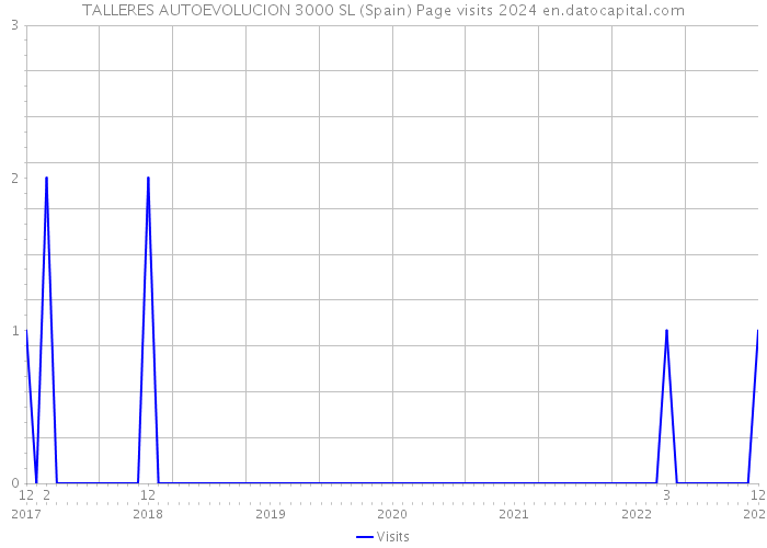 TALLERES AUTOEVOLUCION 3000 SL (Spain) Page visits 2024 