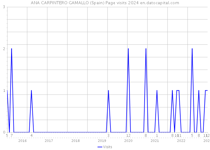 ANA CARPINTERO GAMALLO (Spain) Page visits 2024 