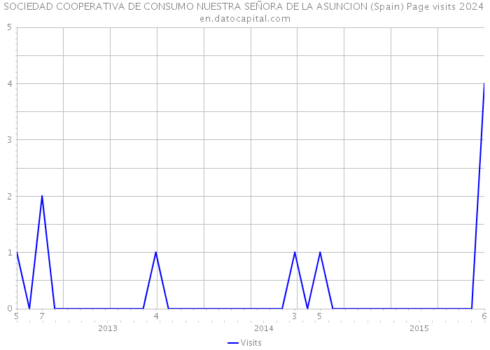 SOCIEDAD COOPERATIVA DE CONSUMO NUESTRA SEÑORA DE LA ASUNCION (Spain) Page visits 2024 