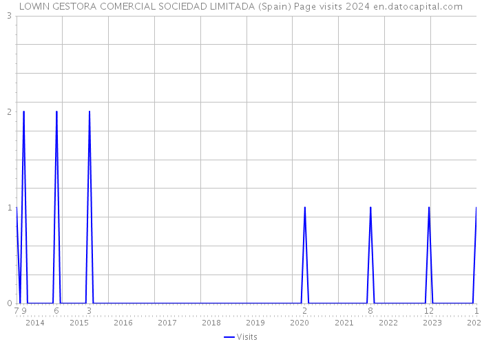 LOWIN GESTORA COMERCIAL SOCIEDAD LIMITADA (Spain) Page visits 2024 