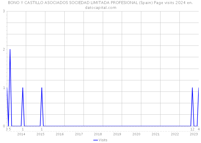 BONO Y CASTILLO ASOCIADOS SOCIEDAD LIMITADA PROFESIONAL (Spain) Page visits 2024 