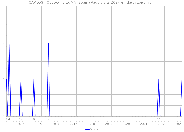 CARLOS TOLEDO TEJERINA (Spain) Page visits 2024 