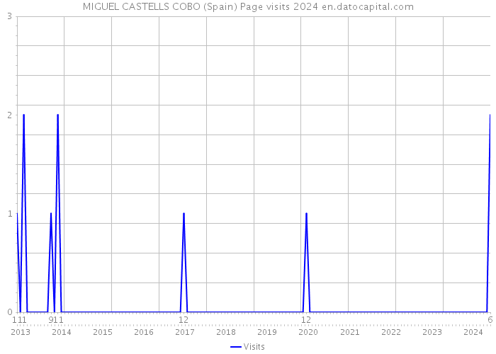 MIGUEL CASTELLS COBO (Spain) Page visits 2024 
