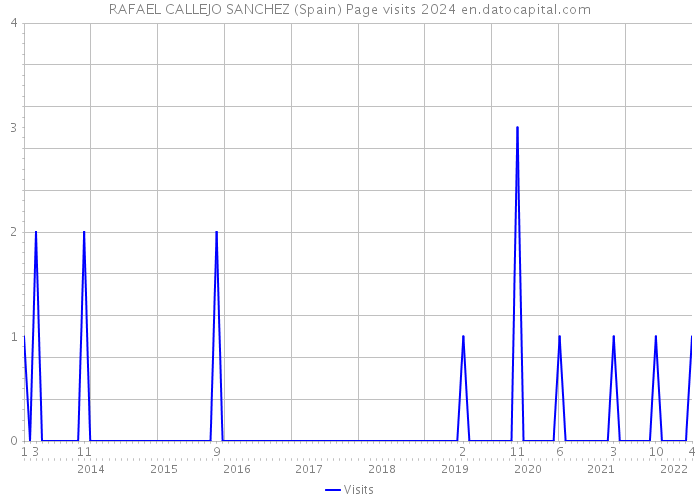 RAFAEL CALLEJO SANCHEZ (Spain) Page visits 2024 