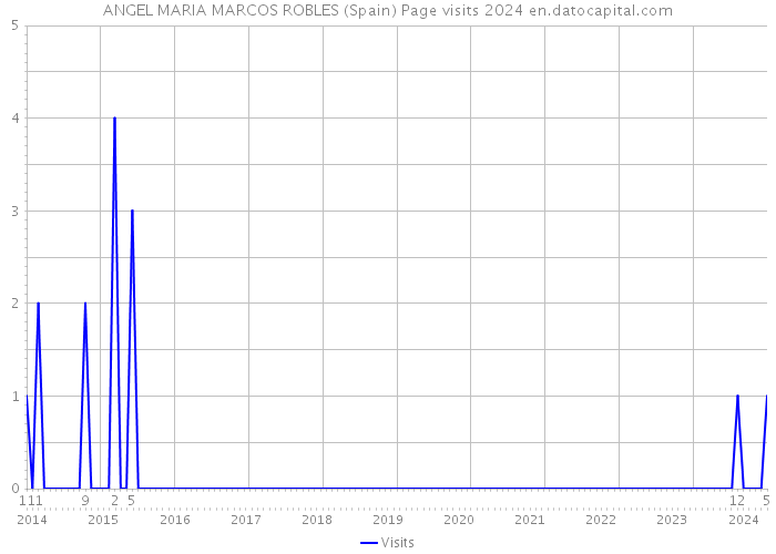 ANGEL MARIA MARCOS ROBLES (Spain) Page visits 2024 