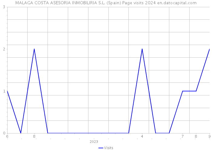 MALAGA COSTA ASESORIA INMOBILIRIA S.L. (Spain) Page visits 2024 