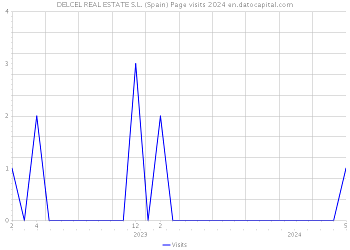 DELCEL REAL ESTATE S.L. (Spain) Page visits 2024 