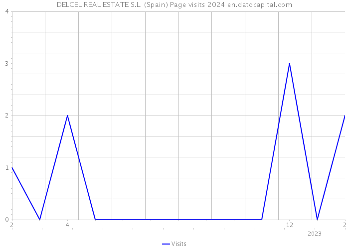 DELCEL REAL ESTATE S.L. (Spain) Page visits 2024 