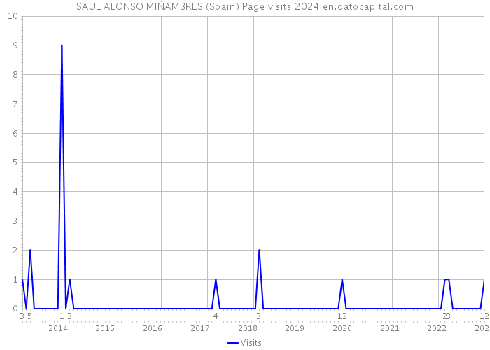SAUL ALONSO MIÑAMBRES (Spain) Page visits 2024 