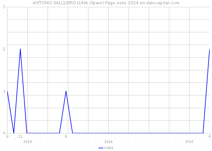 ANTONIO SALGUERO LUNA (Spain) Page visits 2024 