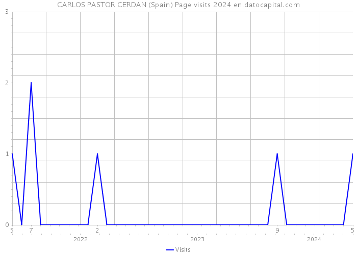CARLOS PASTOR CERDAN (Spain) Page visits 2024 