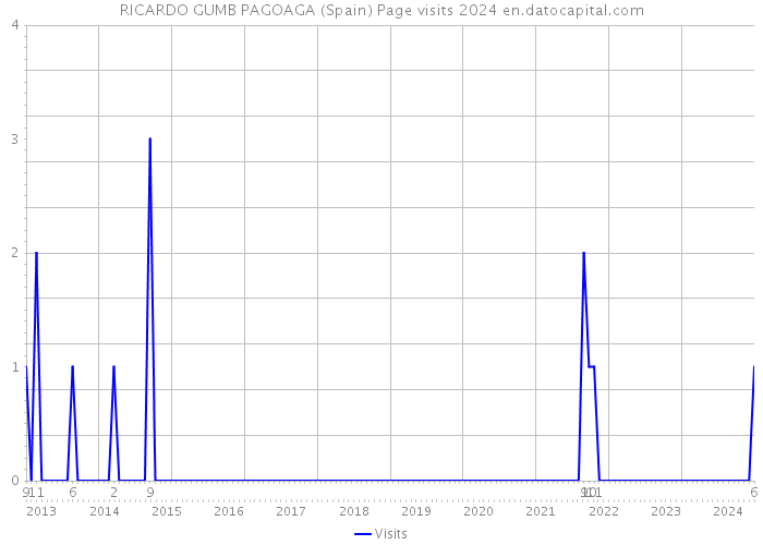 RICARDO GUMB PAGOAGA (Spain) Page visits 2024 