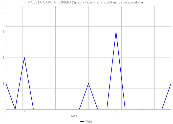 VIOLETA GARCIA TORIBIO (Spain) Page visits 2024 