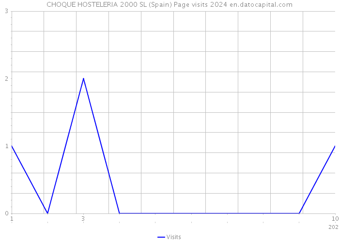 CHOQUE HOSTELERIA 2000 SL (Spain) Page visits 2024 