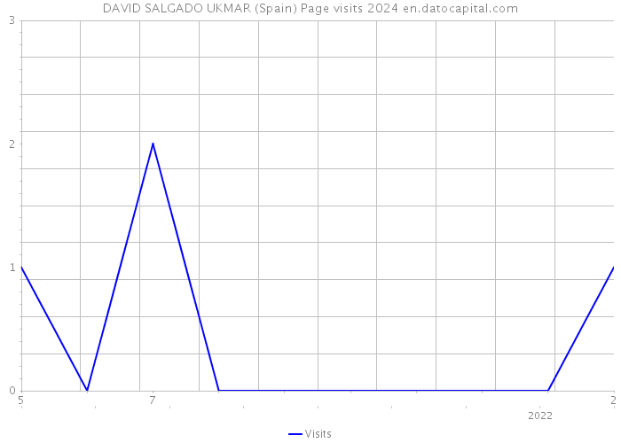 DAVID SALGADO UKMAR (Spain) Page visits 2024 