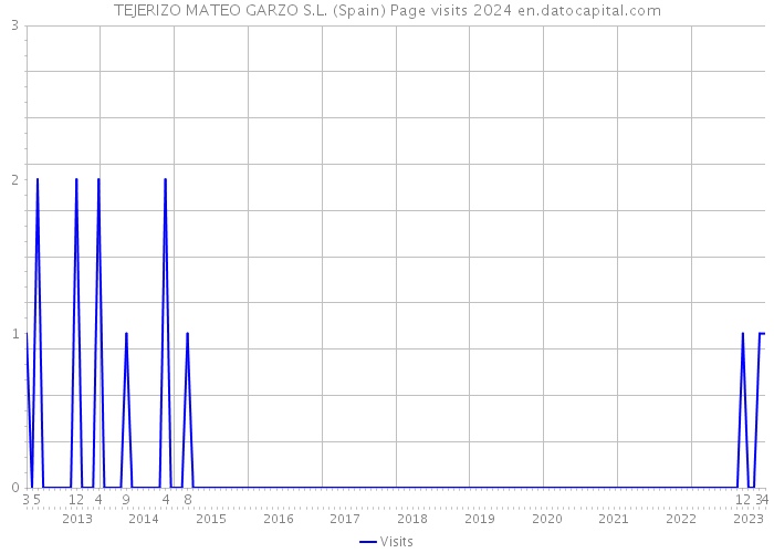 TEJERIZO MATEO GARZO S.L. (Spain) Page visits 2024 