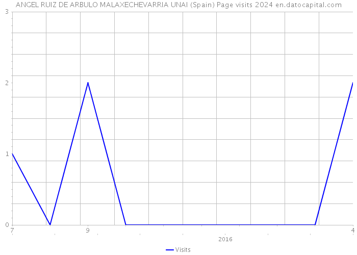 ANGEL RUIZ DE ARBULO MALAXECHEVARRIA UNAI (Spain) Page visits 2024 