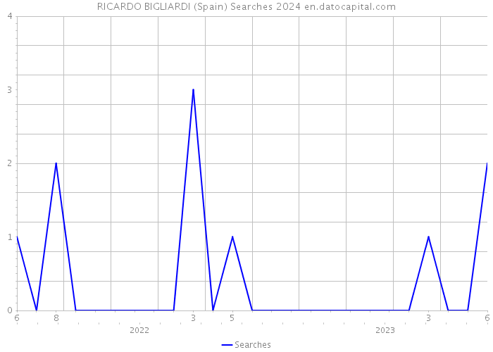 RICARDO BIGLIARDI (Spain) Searches 2024 