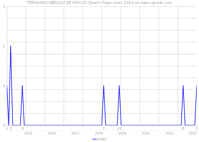 FERNANDO BERGAZ DE HOYOS (Spain) Page visits 2024 