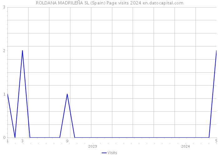 ROLDANA MADRILEÑA SL (Spain) Page visits 2024 