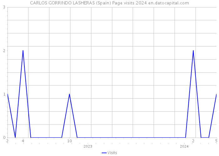 CARLOS GORRINDO LASHERAS (Spain) Page visits 2024 
