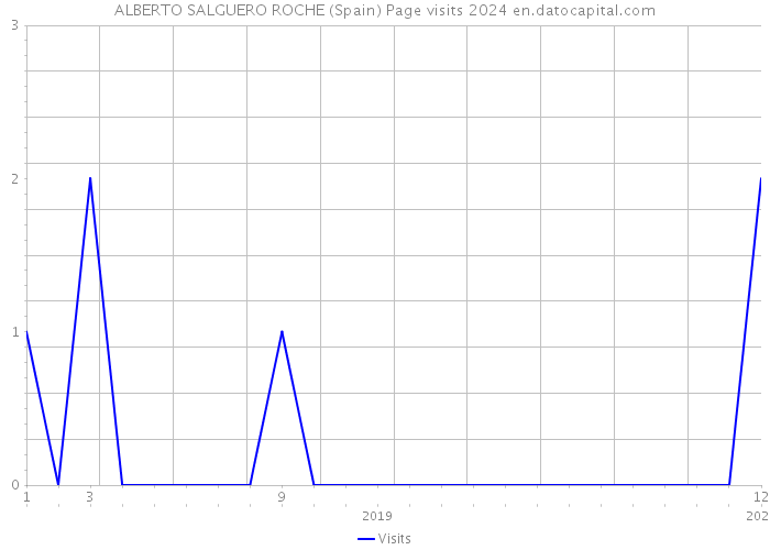 ALBERTO SALGUERO ROCHE (Spain) Page visits 2024 