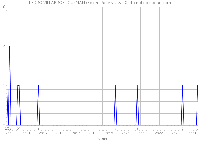 PEDRO VILLARROEL GUZMAN (Spain) Page visits 2024 