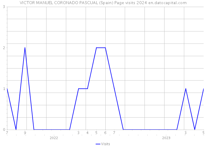 VICTOR MANUEL CORONADO PASCUAL (Spain) Page visits 2024 