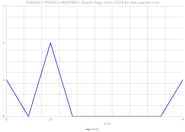 GONZALO FRANCO MONTERO (Spain) Page visits 2024 