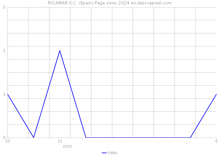 RICAMAR S.C. (Spain) Page visits 2024 