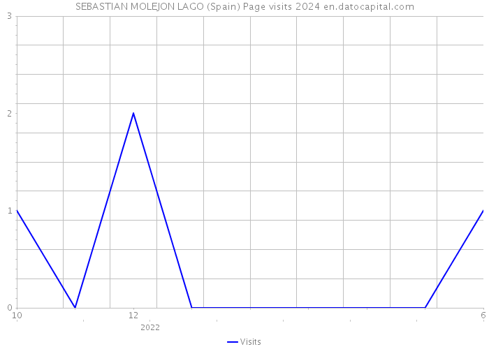 SEBASTIAN MOLEJON LAGO (Spain) Page visits 2024 