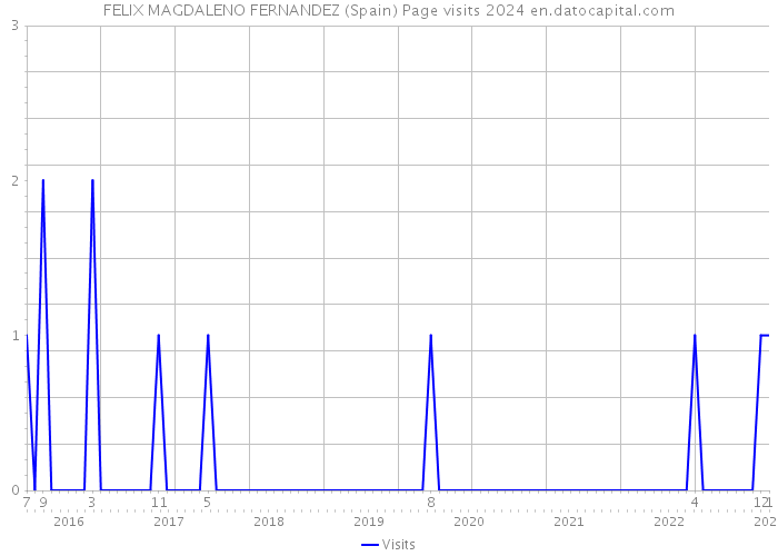 FELIX MAGDALENO FERNANDEZ (Spain) Page visits 2024 