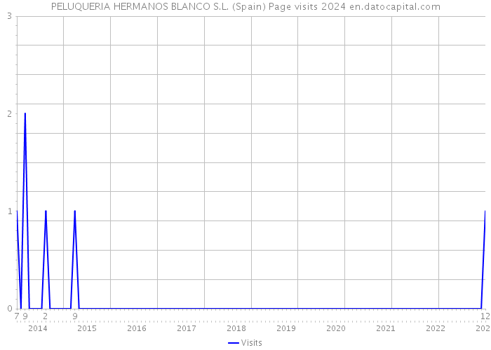 PELUQUERIA HERMANOS BLANCO S.L. (Spain) Page visits 2024 
