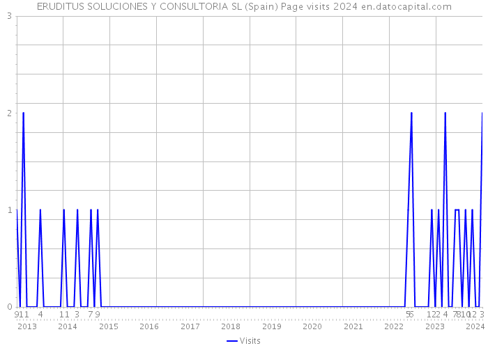 ERUDITUS SOLUCIONES Y CONSULTORIA SL (Spain) Page visits 2024 