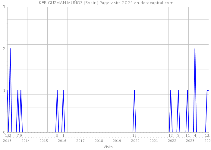 IKER GUZMAN MUÑOZ (Spain) Page visits 2024 