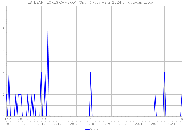 ESTEBAN FLORES CAMBRON (Spain) Page visits 2024 