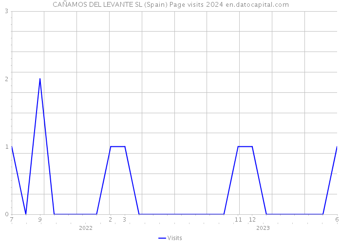 CAÑAMOS DEL LEVANTE SL (Spain) Page visits 2024 