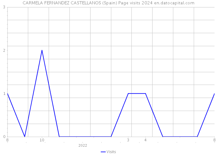CARMELA FERNANDEZ CASTELLANOS (Spain) Page visits 2024 