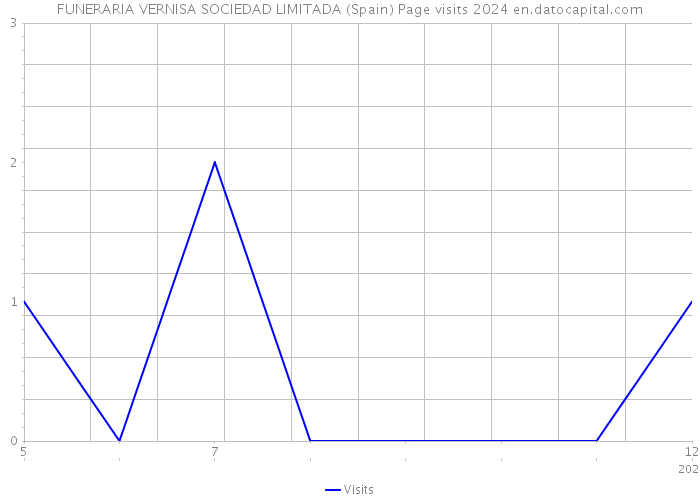 FUNERARIA VERNISA SOCIEDAD LIMITADA (Spain) Page visits 2024 