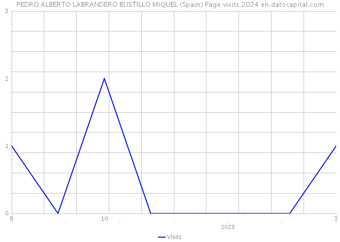 PEDRO ALBERTO LABRANDERO BUSTILLO MIQUEL (Spain) Page visits 2024 