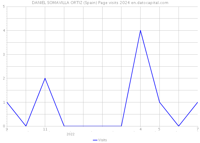 DANIEL SOMAVILLA ORTIZ (Spain) Page visits 2024 