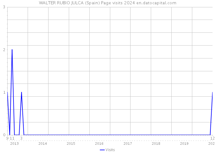 WALTER RUBIO JULCA (Spain) Page visits 2024 