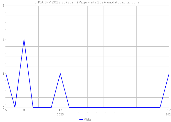 FENGA SPV 2022 SL (Spain) Page visits 2024 
