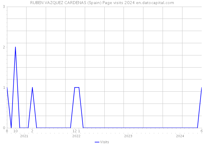 RUBEN VAZQUEZ CARDENAS (Spain) Page visits 2024 