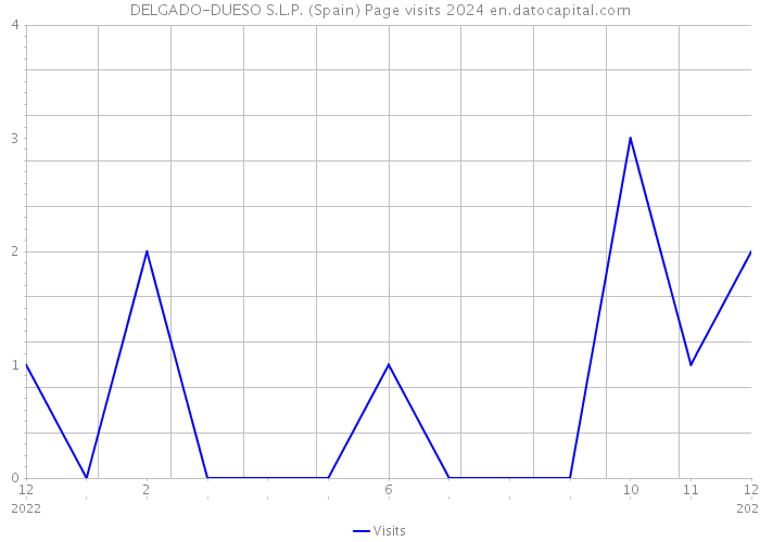 DELGADO-DUESO S.L.P. (Spain) Page visits 2024 
